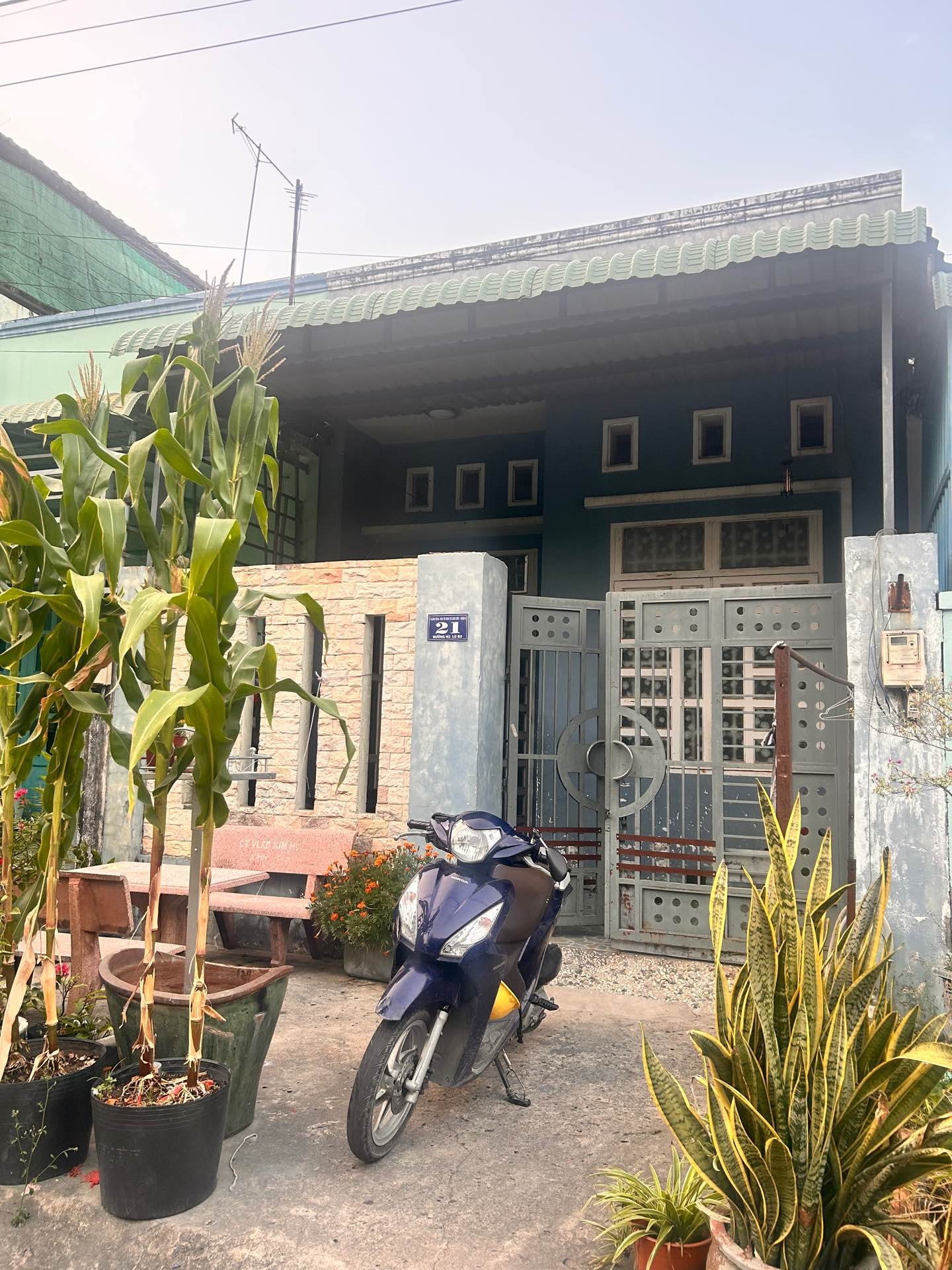 Nhà mặt phố Long Bình ảnh 2